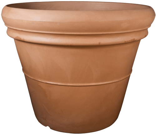 EDBL Double Rolled Rim