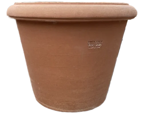 Vaso Camelia Z